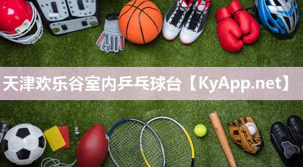 天津欢乐谷室内乒乓球台
