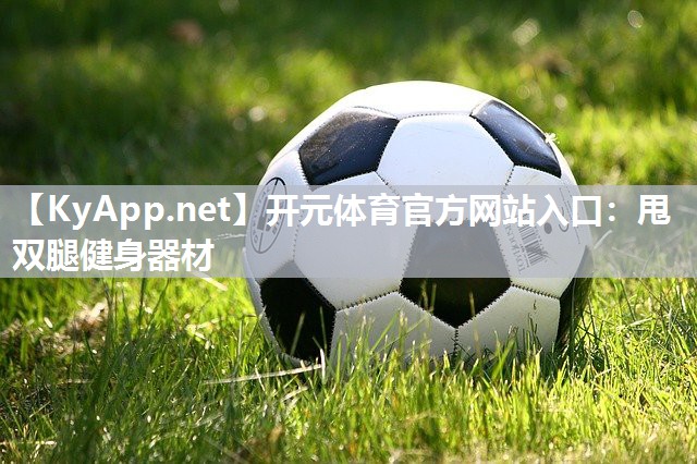 开元体育官方网站入口：甩双腿健身器材