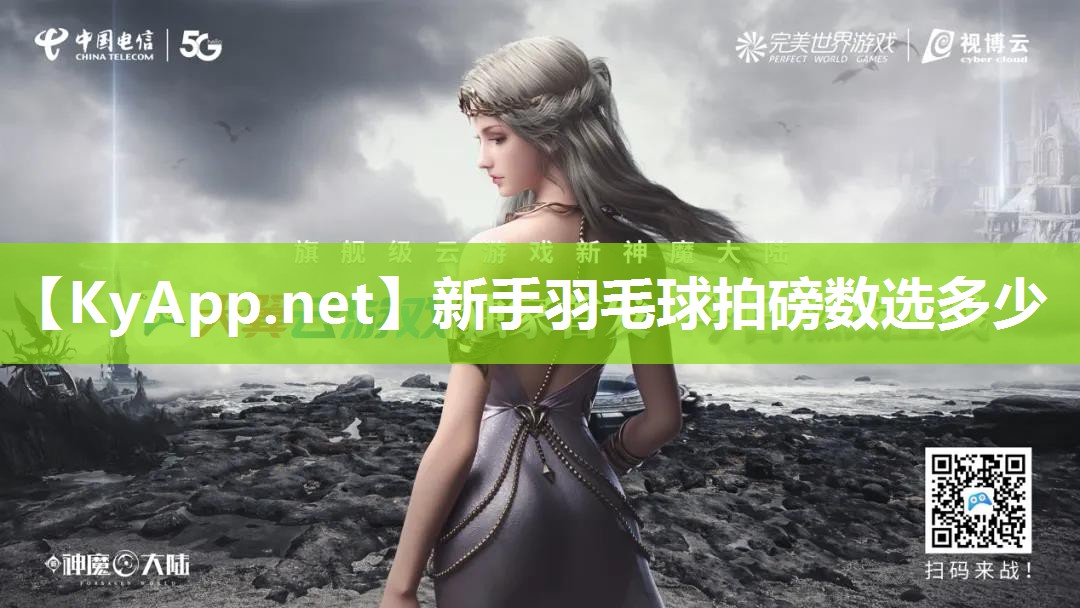 新手羽毛球拍磅数选多少