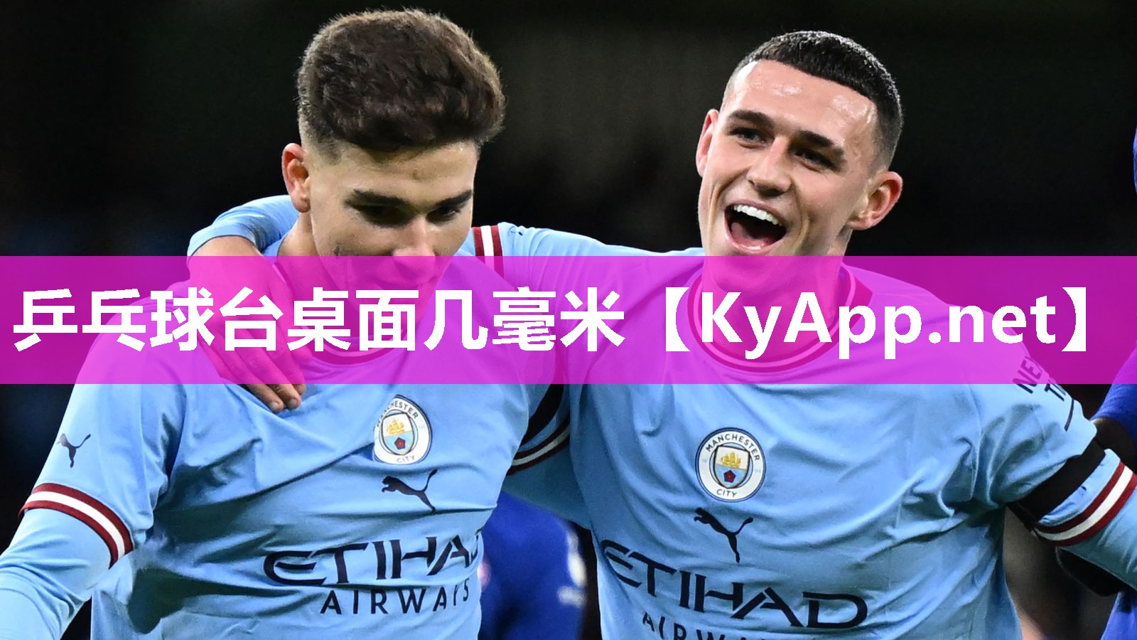 乒乓球台桌面几毫米
