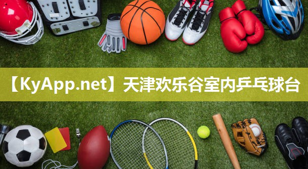 天津欢乐谷室内乒乓球台