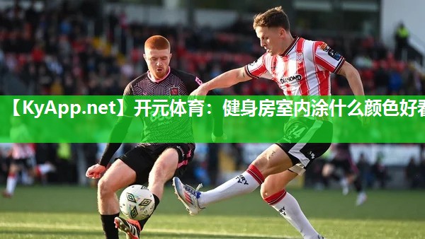 健身房室内涂什么颜色好看