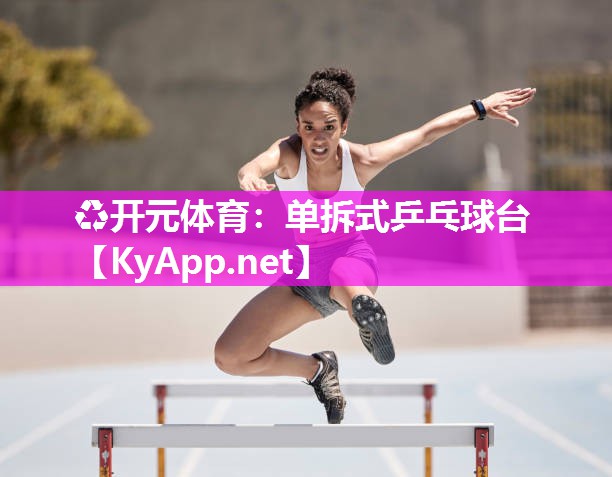 单拆式乒乓球台