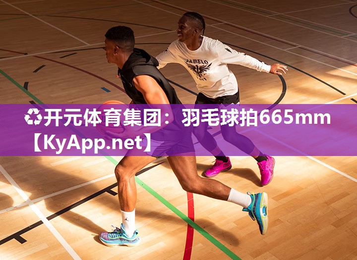 羽毛球拍665mm