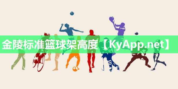 金陵标准篮球架高度